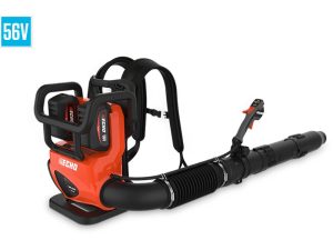 Echo DPB-5800TD2-2 Backpack Blower