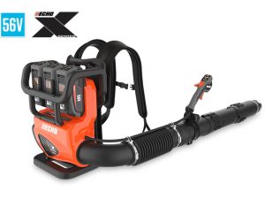 Echo DPB-5900TM2H-3 Backpack Blower